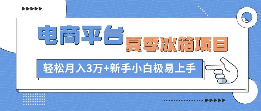电商平台夏季冰箱项目，轻松月入3万+，新手小白极易上手-91搞钱