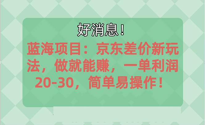 越早知道越能赚到钱的蓝海项目：京东大平台操作，一单利润20-30，简单...-91搞钱