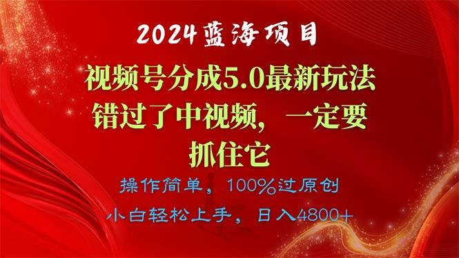 2024蓝海项目,视频号分成计划5.0最新玩法,错过了中视频,一定要抓住...-91搞钱