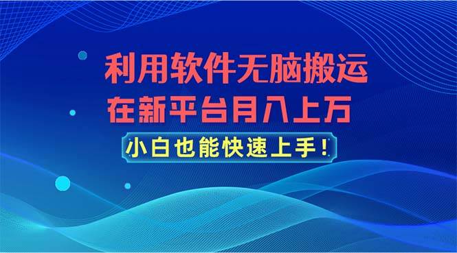 利用软件无脑搬运，在新平台月入上万，小白也能快速上手-91搞钱
