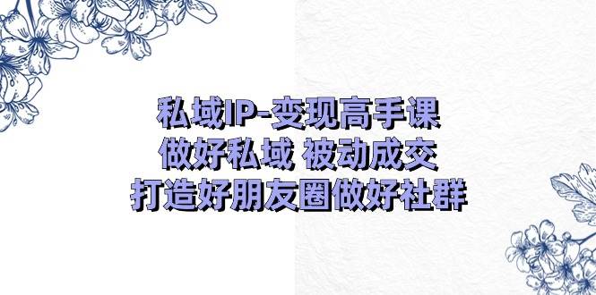 私域IP-变现高手课:做好私域 被动成交,打造好朋友圈做好社群(18节)-91搞钱