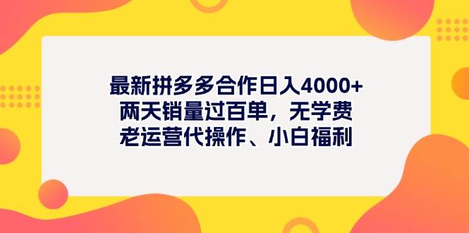 最新拼多多项目日入4000+两天销量过百单,无学费、老运营代操作、小白福利-91搞钱