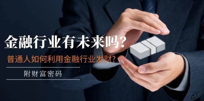 某付费文章:金融行业有未来吗?普通人如何利用金融行业发财?(附财富密码)-91搞钱