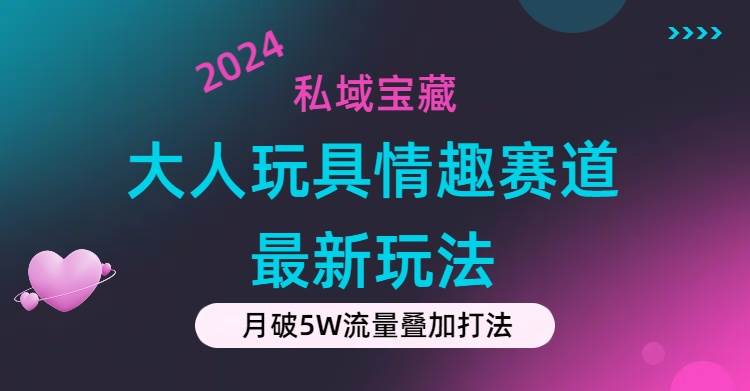 私域宝藏:大人玩具情趣赛道合规新玩法,零投入,私域超高流量成单率高-91搞钱