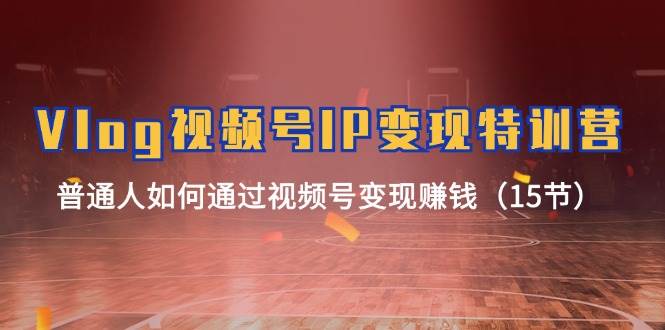 Vlog 视频号IP变现特训营,普通人如何通过视频号变现赚钱(15节)-91搞钱