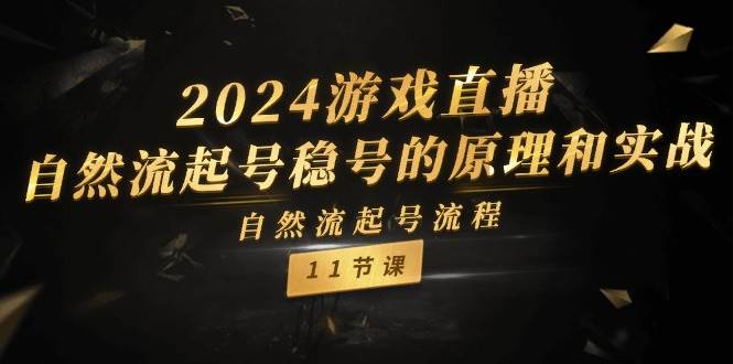 2024游戏直播-自然流起号稳号的原理和实战，自然流起号流程（11节）-91搞钱