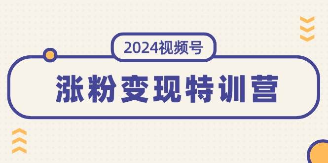 2024视频号-涨粉变现特训营:一站式打造稳定视频号涨粉变现模式(10节)-91搞钱