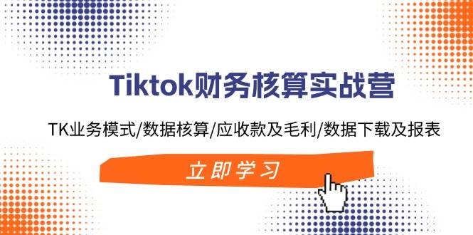 Tiktok财务核算实战营：TK业务模式/数据核算/应收款及毛利/数据下载及报表-91搞钱