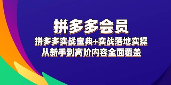 拼多多 会员,拼多多实战宝典+实战落地实操,从新手到高阶内容全面覆盖-91搞钱